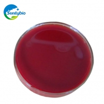 Photosynthetic bacteria 1