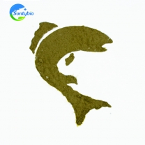 Photosynthetic bacteria 