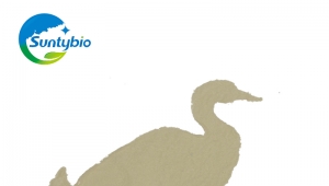 Application of Bacillus laterosporus