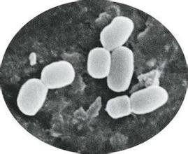 Microbial agents used in what circumstances