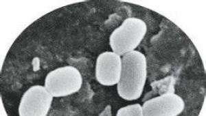 Microbial agents used in what circumstances