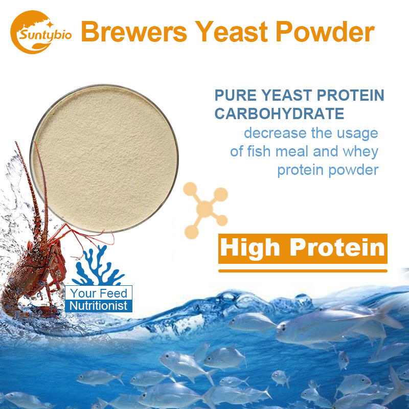Inactive Brewers Yeast Powder