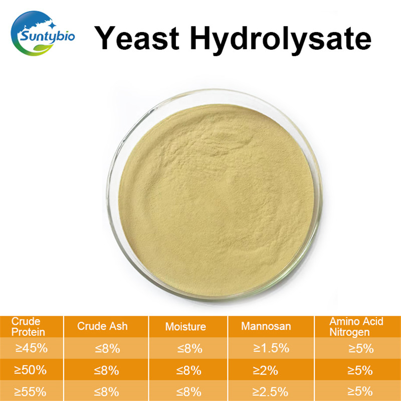 Yeast Hydrolysate (Saccharomyces cerevisiae)