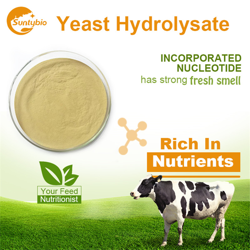 Yeast Polysaccharides Stimulate And Enhance Immune Function