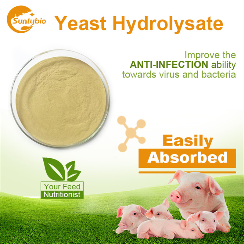 Yeast Hydrolysate (Saccharomyces cerevisiae)