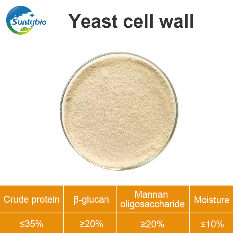 Efficacy and role of yeast cell wall