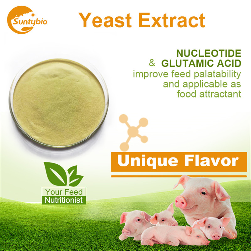 Feed Grade Yeast Extract (Saccharomyces cerevisiae)