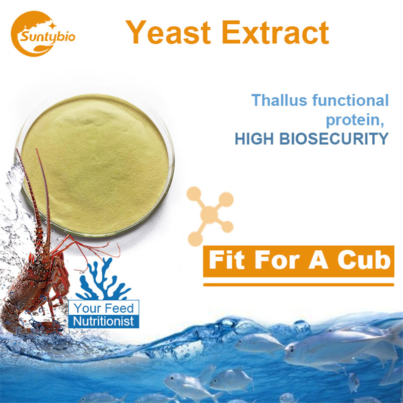 Feed Grade Yeast Extract (Saccharomyces cerevisiae)