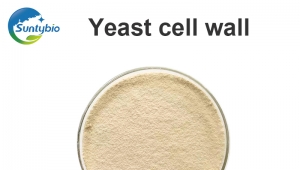 Efficacy and role of yeast cell wall