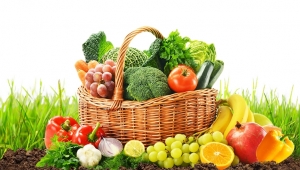 The function and prospect of probiotics in microbial fertilizer