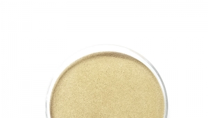 Bacillus Subtilis