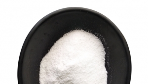 Function of Allicin