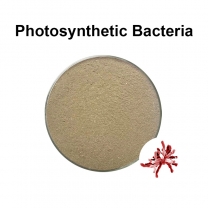 Photosynthetic bacteria 