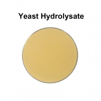 Yeast Hydrolysate /Autolyzed Yeast