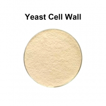 Yeast Cell Wall 