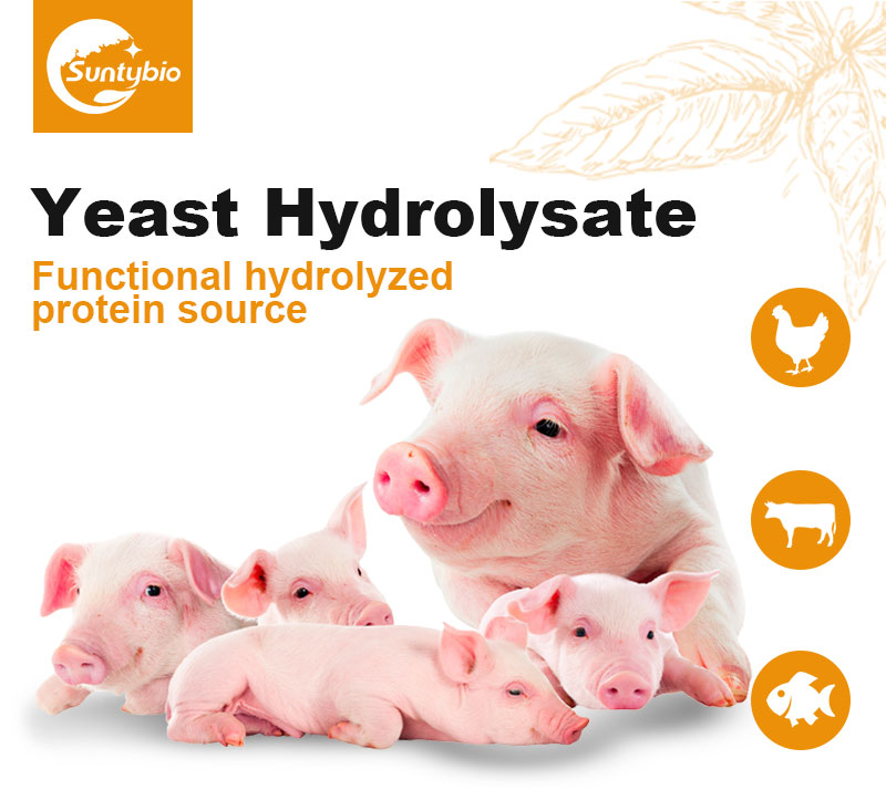 Yeast Hydrolysate