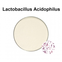 Lactobacillus acidophilus