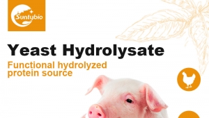 Yeast Hydrolysate