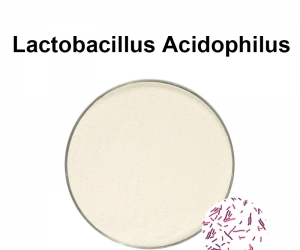 Lactobacillus acidophilus