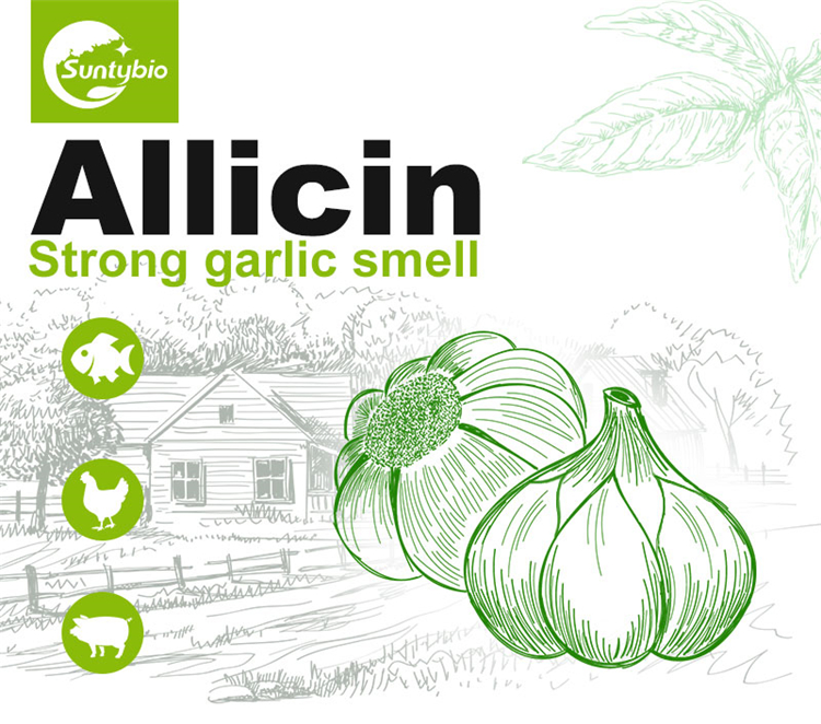 The benefits of allicin to animals