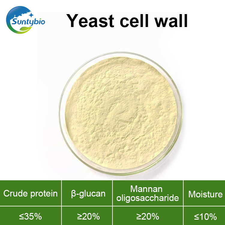yeast cell wall 