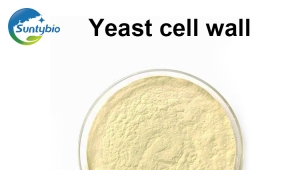 Application of yeast cell wall as mycotoxin adsorbent