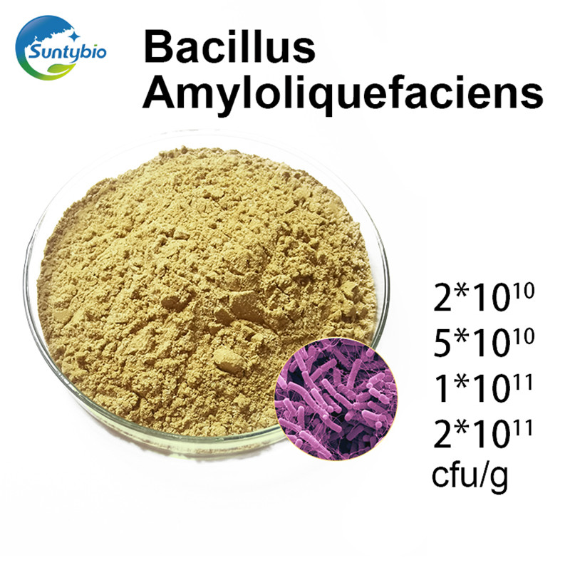 Four functions of Bacillus amyloliquefaciens