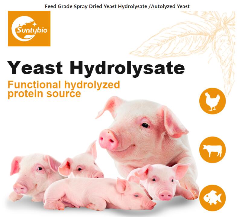 Yeast Hydrolysate 1