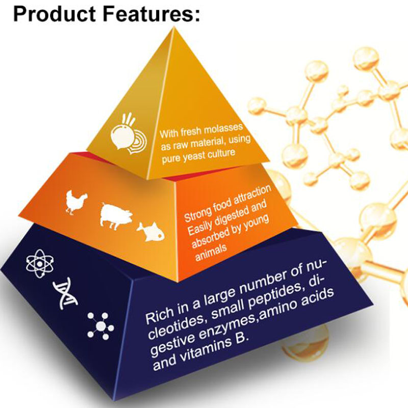 Yeast Probiotics Increase Fiber Digestibility