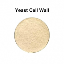Yeast Cell Wall 