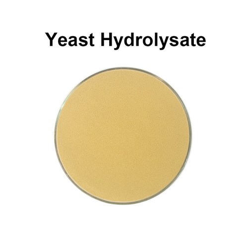 Yeast Hydrolysate /Autolyzed yeast