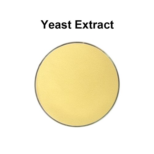  Yeast Extract Autolyzed yeast extract Saccharomyces cerevisiae feed additives