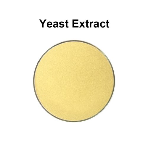  Yeast  Extract