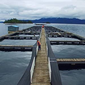 Aquaculture Water Treatment