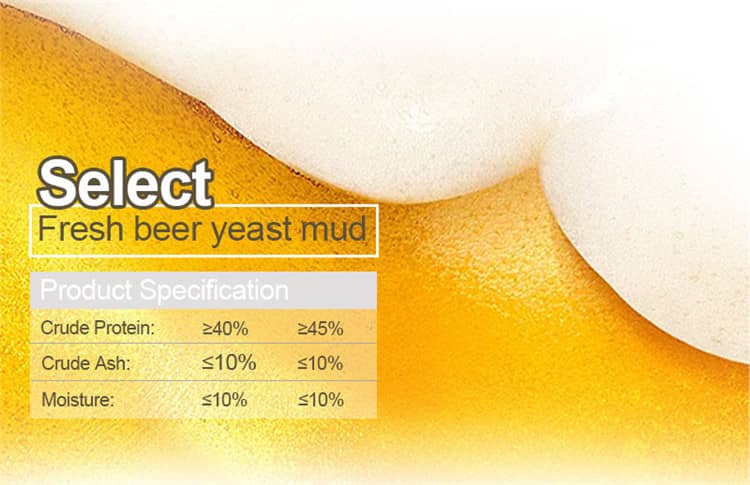 brewers yeast for horses