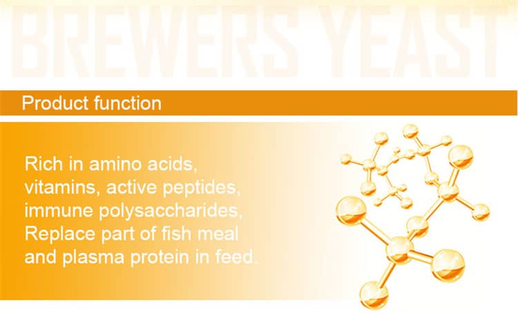 brewers yeast supplement