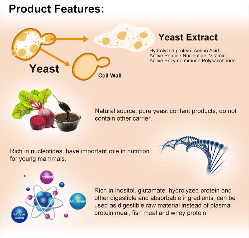 yeast extract
