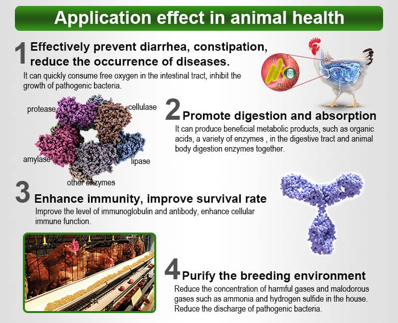 probiotics in animal nutrition and health