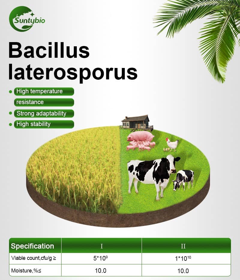 bacillus laterosporus probiotic