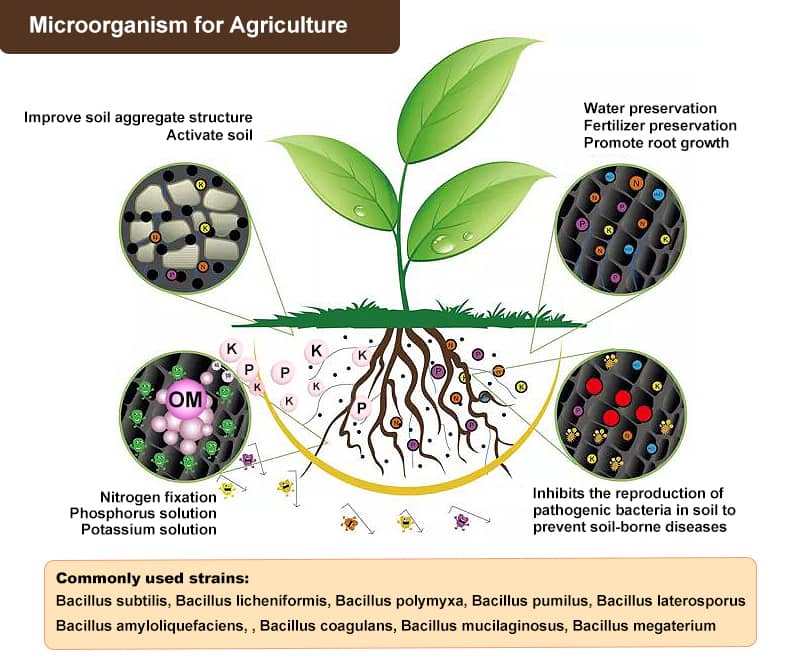 probiotics for agriculturer