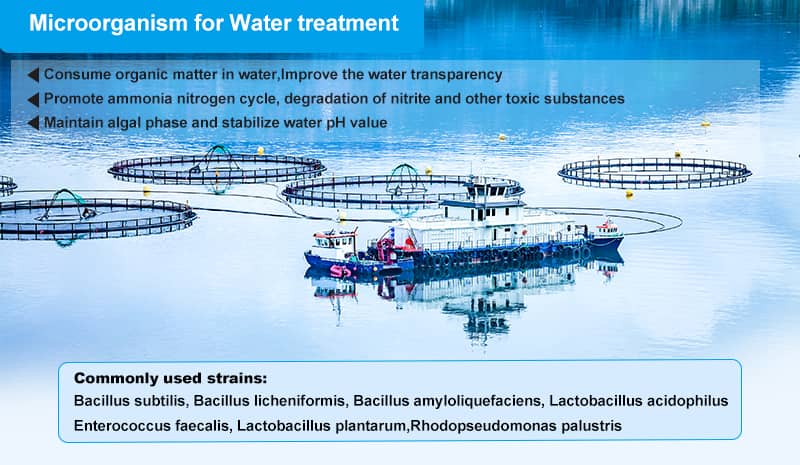 probiotics for aquaculture