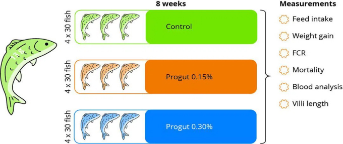 Yeast hydrolysate improves the growth performance of Asian sea bass