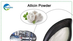 High Quality Feed Additive - Allicin