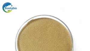 Probiotic Powder For Animals