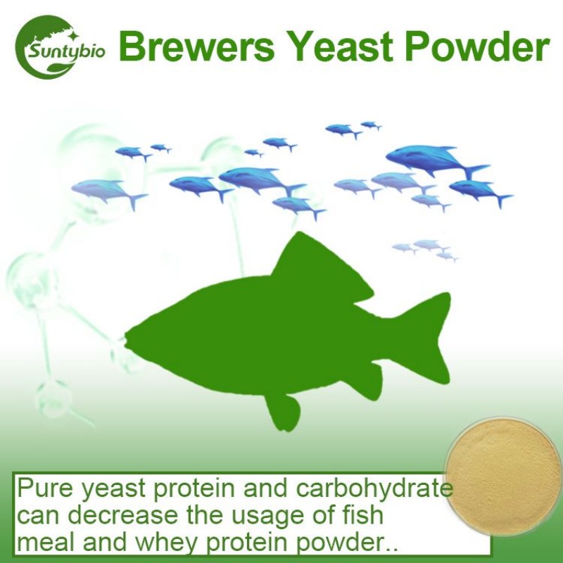 Animal Feed Grade Brewers Yeast Powder
