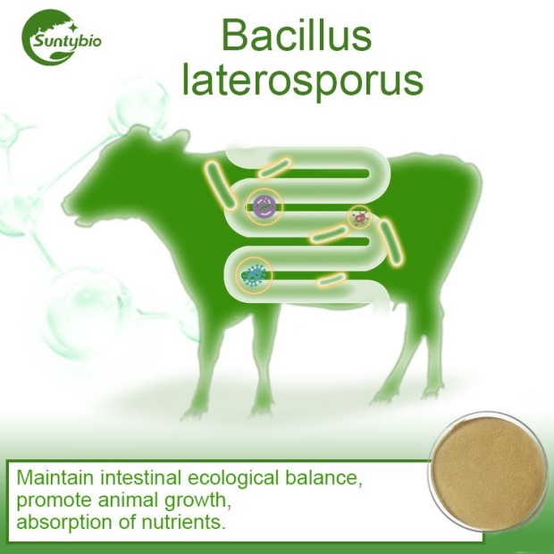 Probiotics For Livestock