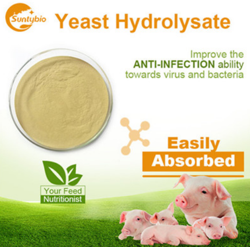 autolyzed yeast