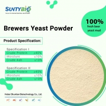 Brewer's Yeast Powder