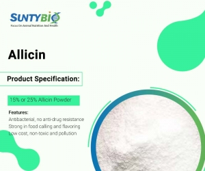 The efficacy and role of allicin in aquaculture