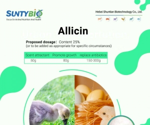 The effect of allicin on poultry